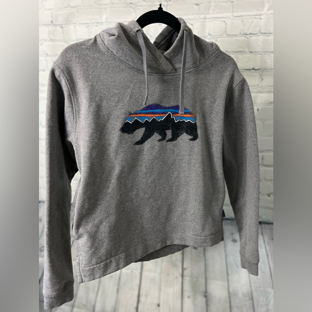 Patagonia Roy Bear Uprisal Hoodie | Sz XS - Picture 2 of 16